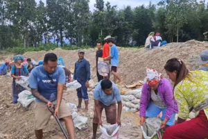 वाईसीएलद्वारा श्रमदान ः वृक्षारोपणदेखि बाँध निर्माणसम्म