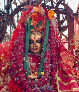 आजको राशिफल ~वि.सं. २०८३ वैशाख २२ गते मङ्गलवार : श्री पाथिभरा देवीकाे कृपाले यी राशिहरूकाे चम्किनेछ भाग्य
