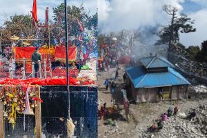 घट्यो पाथीभराको आम्दानी