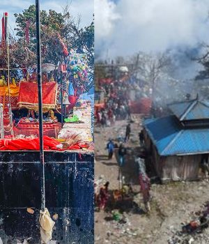 कार्तिक ०७ गतेदेखि १३ गतेसम्म कस्तो रहला तपाईको भाग्य, हेर्नुहोस् राशिफल