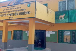 कार्ययोजना स्वीकृत नहुँदा संरक्षण क्षेत्र प्रभावित