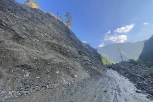 चितवनमा अलपत्र यात्रुलाई होटलमा ७५ प्रतिशत छुट