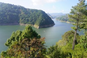 विषादी मिसिएको पानीले कुलेखानीको माछा उत्पादनमा ह्रास