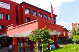जेनजी आन्दोलनका घाइतेको वर्गीकरण गरिने