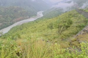 पाँचथरमा बोलेरो दुर्घटना : पाँच जनाको मृत्यु