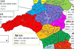 खोटाङमा ७० प्रतिशत धानबालीमा क्षति