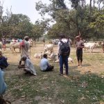 तस्करीका २४ सय दश केजी माछासहित अण्डा, मासु र कुखुरा नष्ट