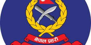 एसएसपी विश्व अधिकारी डीआईजीमा बढुवा सिफारिस