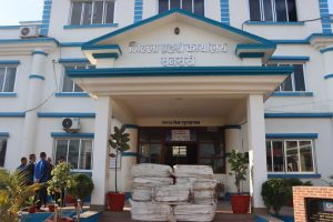 बेवारिसे अवस्थामा ३ सय ८७ किलो ग्राम गाँजा बरामद