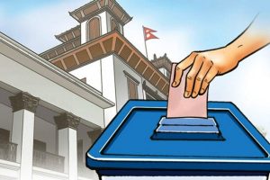 निर्वाचन आयोगद्वारा राजनीतिक दललाई २० बुँदे निर्देशन