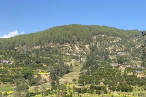 काभ्रेमा कृषि–पर्यटन प्रवर्द्धनार्थ ‘सुन्तला–हाइकिङ’