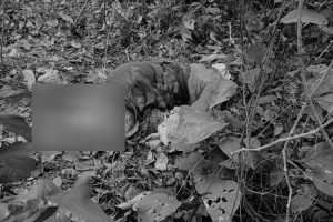 चितुवाको आक्रमणबाट महिलाको मृत्यु