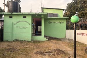 सर्पदंशको निःशुल्क उपचार सेवा दिंदै लेटाङ नगरपालिका, २४ घण्टे सेवा उपलब्ध