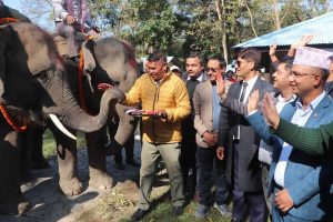 रुद्रकली र खगेन्द्रप्रसाद भैरहवा पुगे : भोलि कतार पठाइने