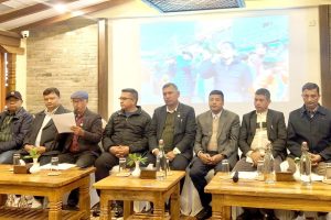 फेवा किनारमा पुस १३ गतेबाट २७ औं सडक महोत्सव