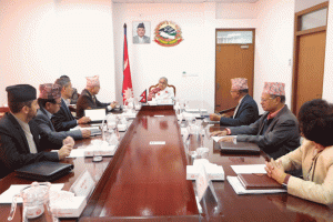 सहकारी बेथिति छानबिन गर्न आयोग