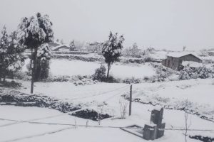 हिमपातका कारण अत्यधिक चिसो, जनजीवन प्रभावित