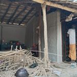 जङ्गली हात्ती गाउँमा पस्दा तीन घरमा क्षति