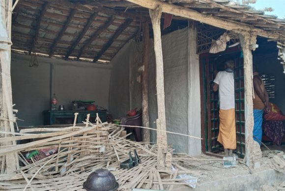 जङ्गली हात्ती गाउँमा पस्दा तीन घरमा क्षति