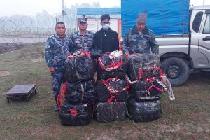 मोरङमा २७५.८ किलो गाँजा बरामद, एक जना पक्राउ