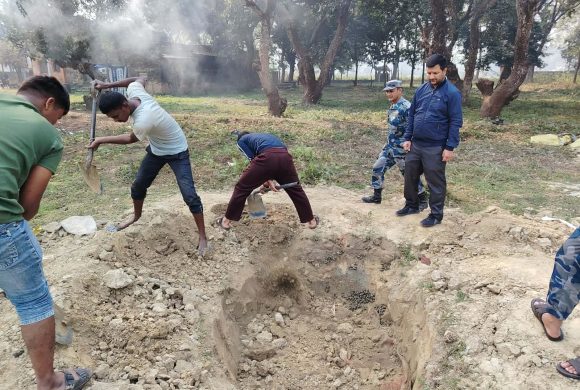 १ हजार केजी घुगी बरामद