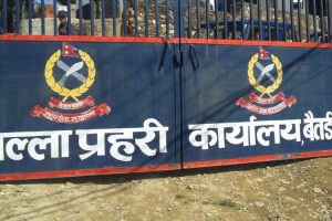 बैतडीमा ३८७ नाल भरुवा बन्दुक प्रशासनलाई बुझाइयो