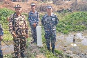 सीमा स्तम्भ मर्मतमा नेपाल–भारत संयुक्त टोली सक्रिय