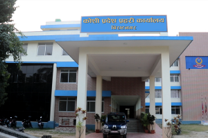 कोशीमा निर्वाचन सुरक्षाको पूर्ण तयारी, ४० हजारभन्दा बढी जनशक्ति परिचालन