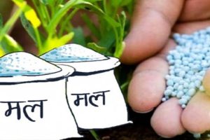 यस वर्ष रासायनिक मल कम आयात हुने