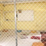 भक्तपुरमा आजैदेखि मतगणना गरिने