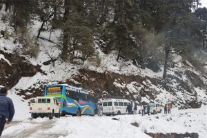 पाथीभरामा पाँचौँ पटक हिमपात