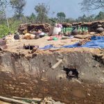 भोजपुरमा हावाहुरीसहित पानी र चट्याङ : दुईको मृत्यु