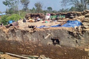 भोजपुरमा हावाहुरीसहित पानी र चट्याङ : दुईको मृत्यु