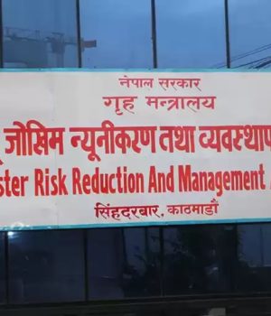 एघार महिनामा ६ हजार विपद्का घटना