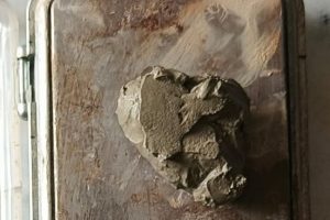 सुनसरीका विभिन्न ठाउँबाट १४ ग्राम ब्राउन सुगर बरामद