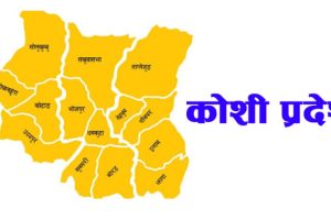 भोलिदेखि कोशी पर्यटन महोत्सव आयोजना, पर्यटकीय गन्तव्य प्रवर्द्धनमा जोड