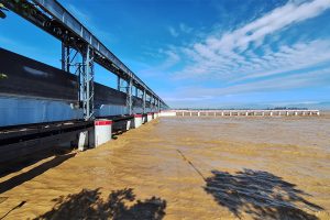 कोशी टप्पुमा घोघी टिप्न गएकी महिला डुबेर बेपत्ता, खोजी जारी