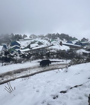 सन्दकपुरमा हिमपात