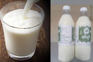 पाँच हजार लिटर मही निःशुल्क वितरण