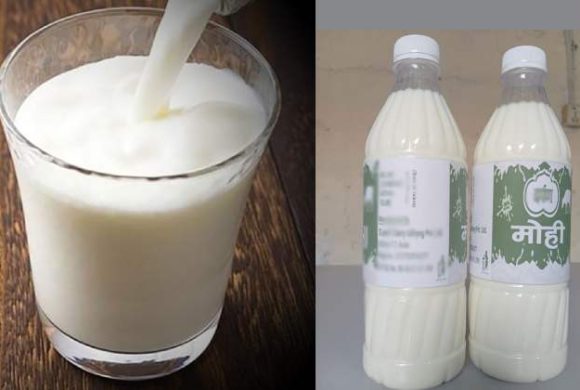 पाँच हजार लिटर मही निःशुल्क वितरण