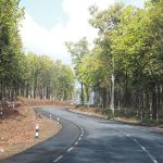 मदनभण्डारी राजमार्गः १३ हजार रुख कटान