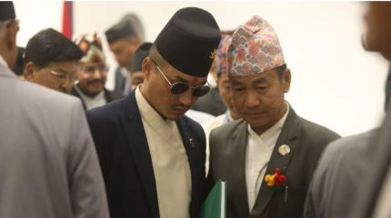 पोखराको २० रोपनी जग्गाबारे सत्यता बाहिर ल्याउन गृहमन्त्रीलाई दबाब