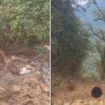 रोल्पामा तीर्थयात्री चढेको जिप दुर्घटना हुँदा १७ जनाको ज्यान गुम्यो