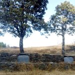 संरक्षणको अभाबमा लोप हुदैं ‘वर,पिपल र चौतारी’