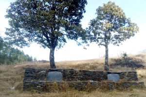 संरक्षणको अभाबमा लोप हुदैं ‘वर,पिपल र चौतारी’