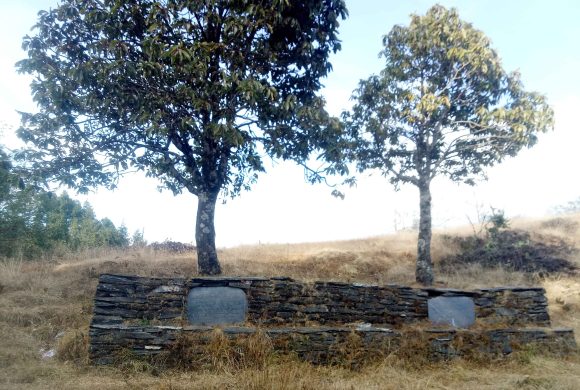 संरक्षणको अभाबमा लोप हुदैं ‘वर,पिपल र चौतारी’