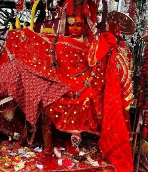 आजको राशिफल ~वि.सं. २०८३ जेठ १७ गते आइतबार : श्री पाथिभरा देवीकाे कृपाले यी राशिहरूकाे चम्किनेछ भाग्य