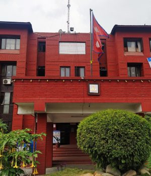 स्वास्थ्य प्रतिष्ठानमा निमित्त निर्देशक नियुक्त