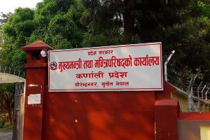 प्रदेश स्याउ विकास बोर्ड स्थापना गर्न राय माग