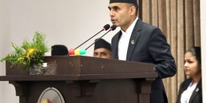 जनताको अपेक्षा सम्बोधन गर्ने बजेट आएको छः मन्त्री तिमिल्सिना